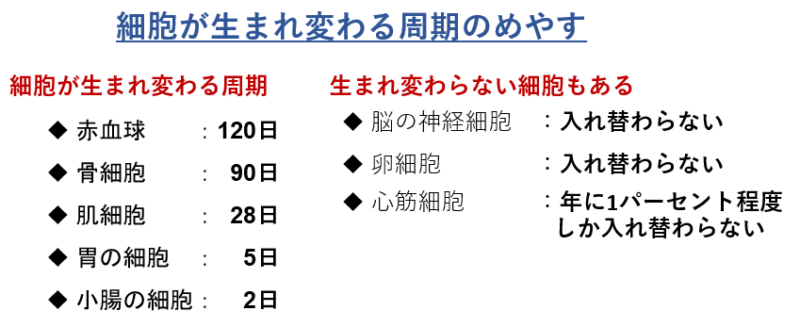 画像に alt 属性が指定されていません。ファイル名: image-3-800x327.png