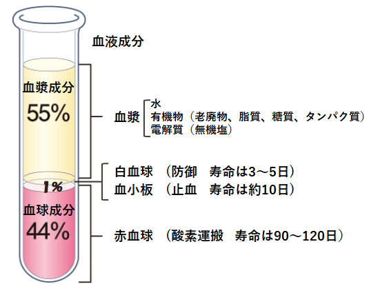 血液成分